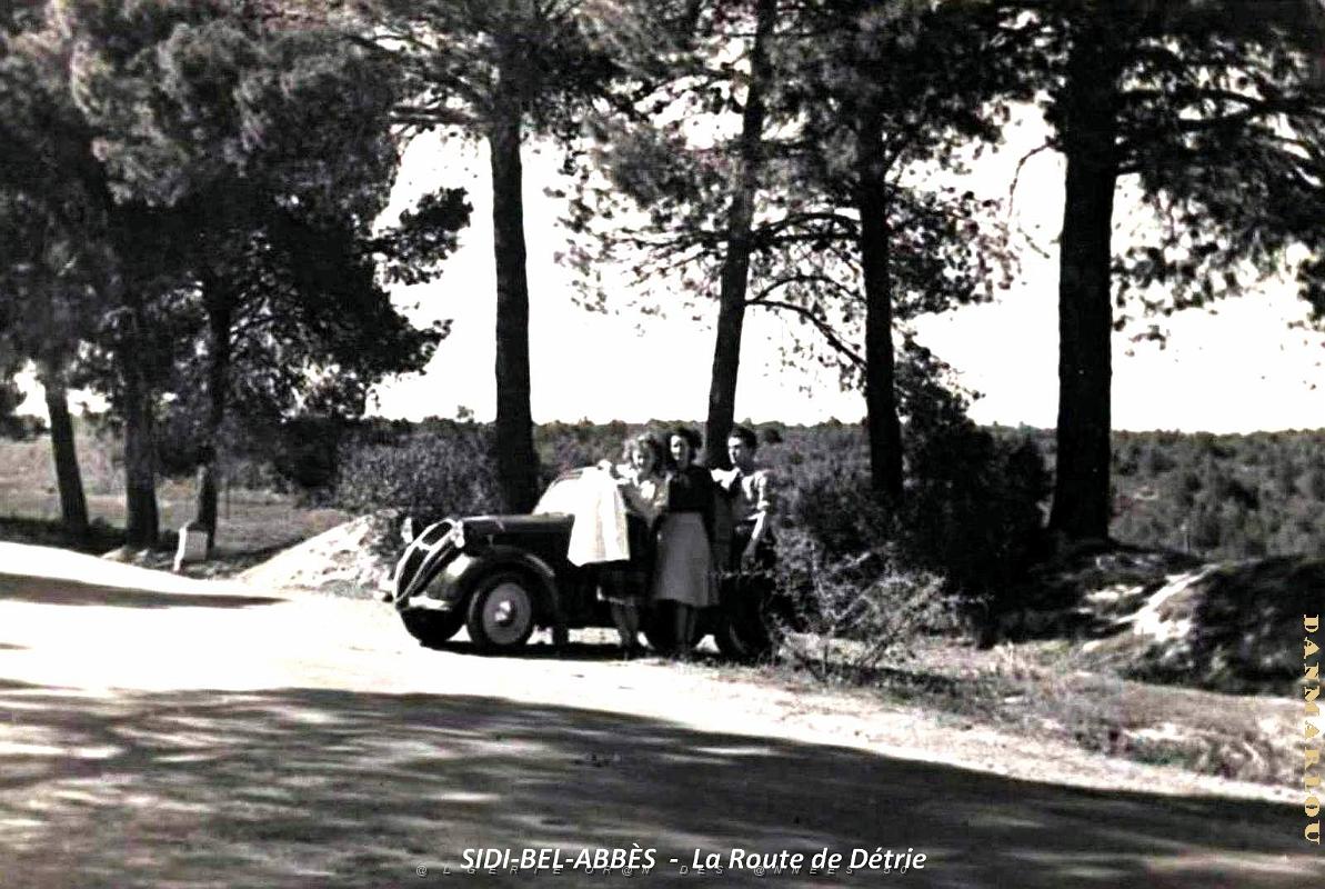 Sidi-Bel-Abbes - Route de Detrie.jpg